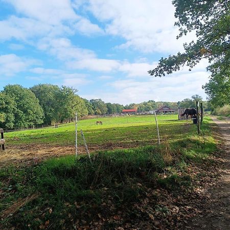 Cap Nature - T3 Et T4 En Perigord Vert - Ideal Pros Et Groupes Max 18P Champniers-et-Reilhac Exterior foto