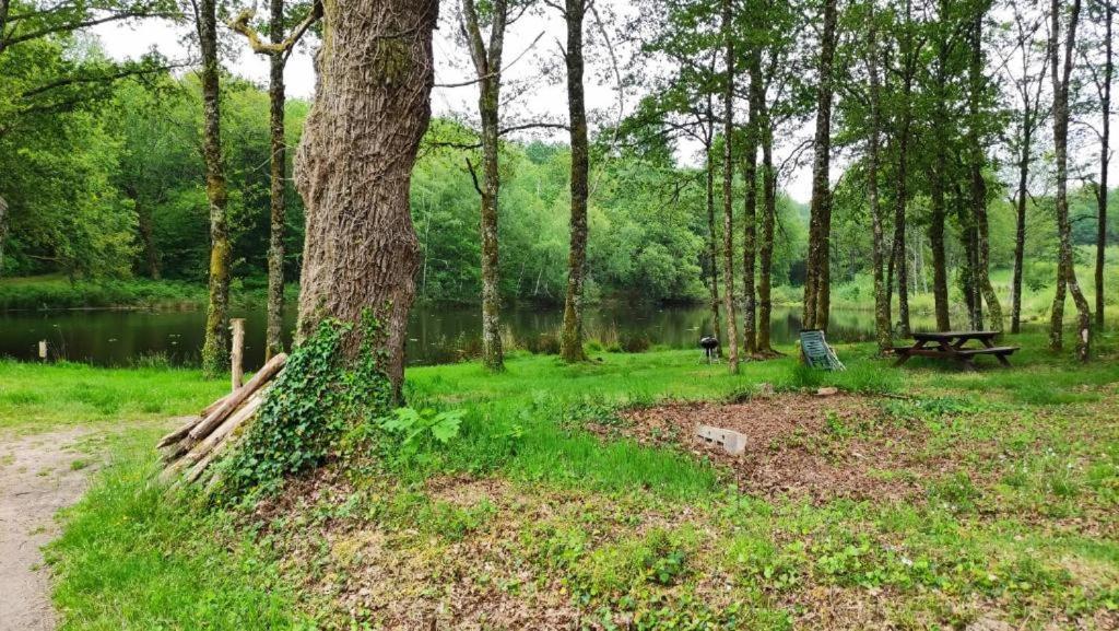 Cap Nature - T3 Et T4 En Perigord Vert - Ideal Pros Et Groupes Max 18P Champniers-et-Reilhac Exterior foto