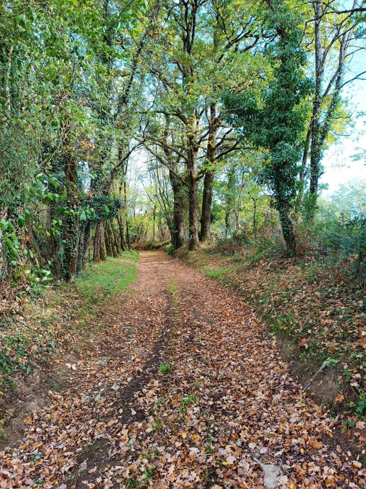 Cap Nature - T3 Et T4 En Perigord Vert - Ideal Pros Et Groupes Max 18P Champniers-et-Reilhac Exterior foto